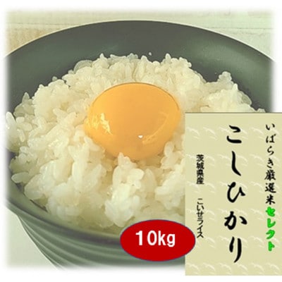 筑波山麓産米を中心に厳選した【茨城県産こしひかり】白米10kg 令和7年産