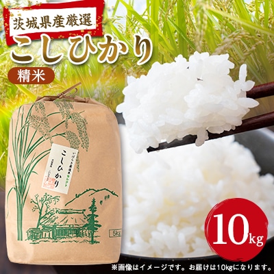 筑波山麓産米を中心に厳選した【茨城県産こしひかり】白米10kg 令和7年産