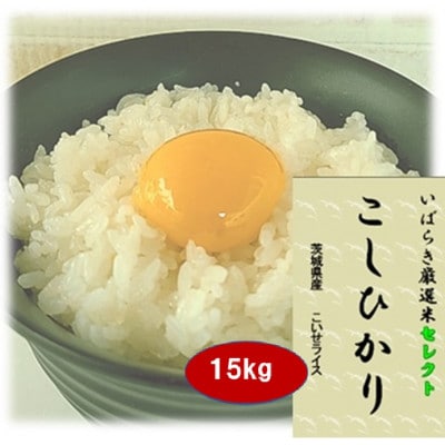 �}�g�R�[�Y�Ă𒆐S�Ɍ��I�����y��錧�Y�����Ђ���z����15kg �ߘa7�N�Y