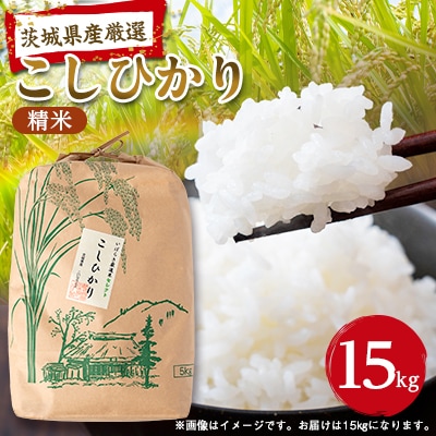筑波山麓産米を中心に厳選した【茨城県産こしひかり】白米15kg 令和7年産