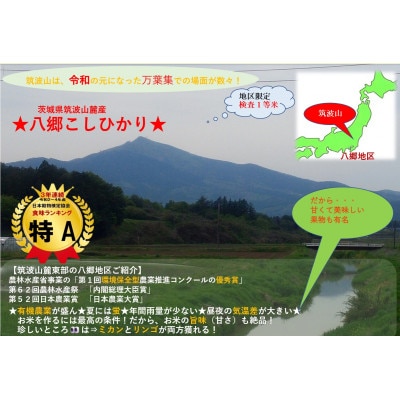 【玄米30kg⇒七分搗き米】筑波山麓厳選★検査1等米こしひかり【恋瀬姫の舞】令和7年産