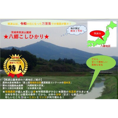 【玄米20kg⇒五分搗き米】筑波山麓厳選★検査1等米こしひかり【恋瀬姫の舞】令和7年産