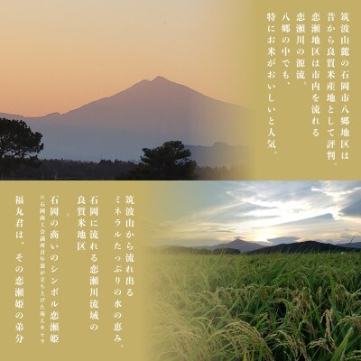 食味ランク【特A】茨城県オリジナル★筑波山麓厳選米★【福丸】白米5kg 令和7年産