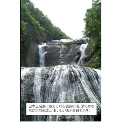 筑波山麓産 食べ比べ3種セット(あきたこまち・ひとめぼれ・ふくまる)各5kg 計15kg
