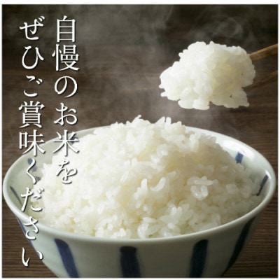 令和7年産　茨城県産コシヒカリ　精米　計10kg