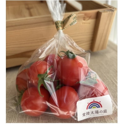 フルーツトマト1kg