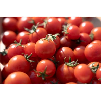 フルーツトマト1kg