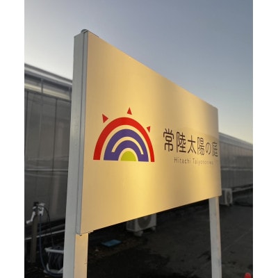 フルーツトマトジュース720ml　2本入り