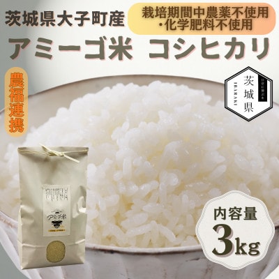 令和7年産新米 アミーゴ米3kg(コシヒカリ・天日干し)【自然の力　栽培期間中農薬・化学肥料不使用】