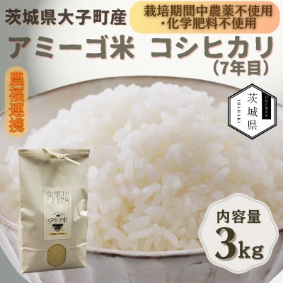 令和7年産新米 アミーゴ米3kg(コシヒカリ・天日干し)【自然の力　栽培期間中農薬・化学肥料不使用】