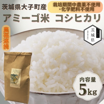 令和7年産新米 アミーゴ米5kg(コシヒカリ・天日干し)【自然の力　栽培期間中農薬・化学肥料不使用】