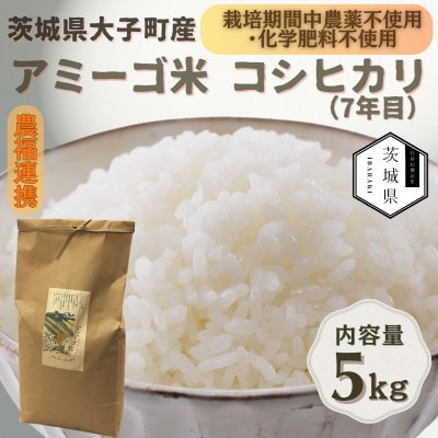 令和7年産新米 アミーゴ米5kg(コシヒカリ・天日干し)【自然の力　栽培期間中農薬・化学肥料不使用】