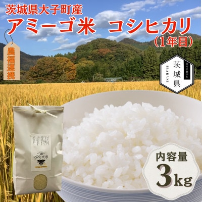 令和7年産新米 アミーゴ米3kg(コシヒカリ・天日干し米(1年目))栽培期間中農薬・化学肥料不使用