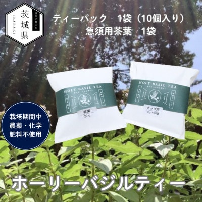 奇跡のハーブ ホーリーバジルティー【ティーパック10個入×1袋、急須用茶葉22g×1袋】計2袋