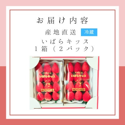 特別栽培農産物 いばらキッス 2パック 茨城県オリジナルブランドいちご【拓実の会(濱野いちご園)】