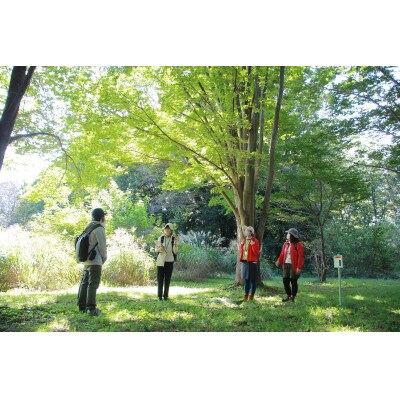 きたもと森林セラピー ハンドマッサージ付き【2名分】