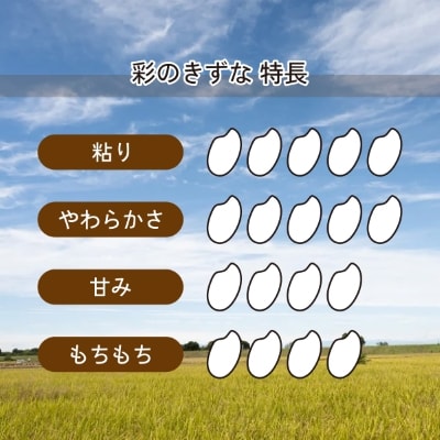 【令和6年産】埼玉県産 彩のきずな 10kg(5kg×2袋)