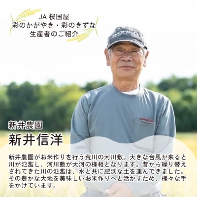 【令和6年産】埼玉県産 彩のきずな 10kg(5kg×2袋)