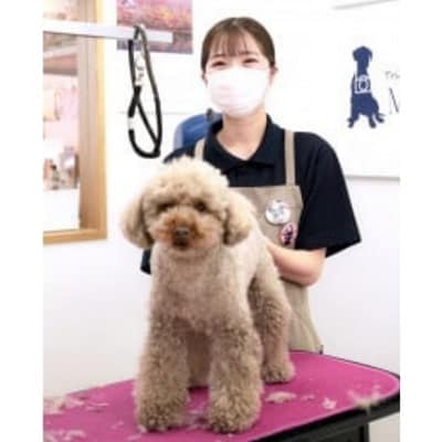 トリミング&写真撮影利用補助券　1500円分