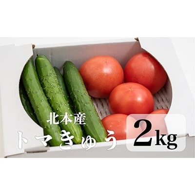 新鮮!採れたて!北本産 トマト・きゅうりセット【合計約2kg 獲れたて 産地直送 旬 野菜】
