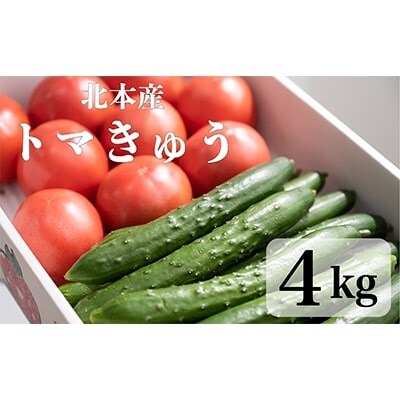 新鮮!採れたて!北本産 トマト・きゅうりセット【合計約4kg 獲れたて 産地直送 旬 野菜】
