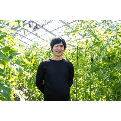 新鮮!採れたて!北本産 トマト・きゅうりセット【合計約4kg 獲れたて 産地直送 旬 野菜】