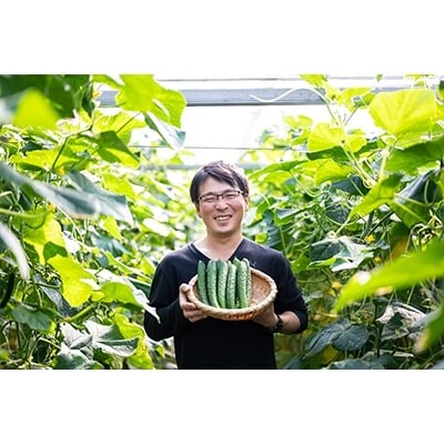 新鮮!採れたて!北本産 トマト・きゅうりセット【合計約4kg 獲れたて 産地直送 旬 野菜】