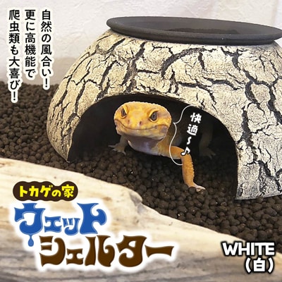 ウェットシェルター:White