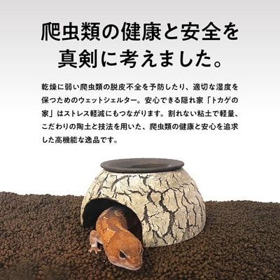 ウェットシェルター:White