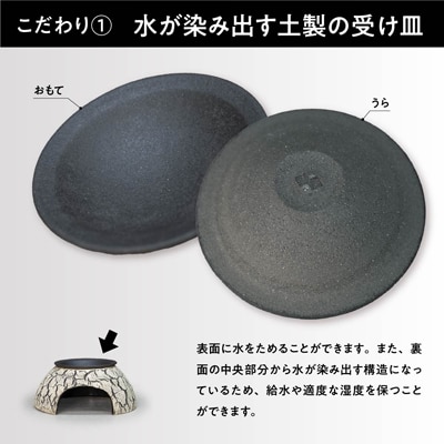 ウェットシェルター:White