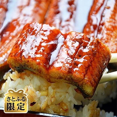 さとふる限定 九州産うなぎ蒲焼2尾 秘伝つゆだくタレ付 老舗鮮魚店の味 お礼品詳細 ふるさと納税なら さとふる