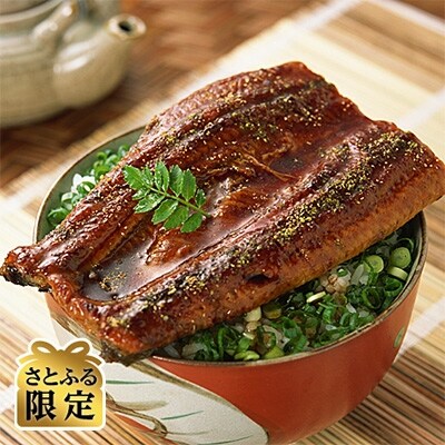 さとふる限定 肉厚九州産うなぎ蒲焼1尾つゆだくタレ付 中間老舗鮮魚店秘伝の味 お礼品詳細 ふるさと納税なら さとふる