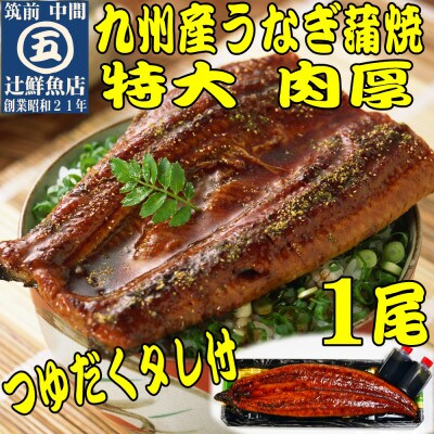 肉厚九州産うなぎ蒲焼1尾つゆだくタレ付 中間市老舗マル五 辻鮮魚店の秘伝の味