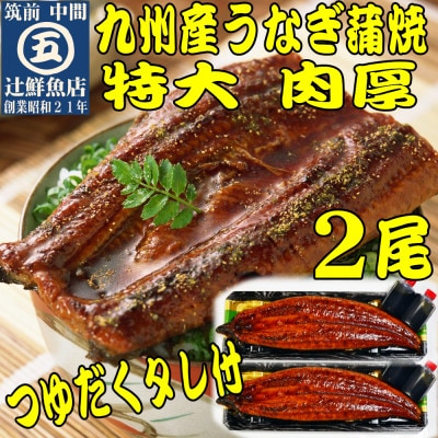 肉厚九州産うなぎ蒲焼2尾つゆだくタレ付 中間市老舗マル五「辻鮮魚店」秘伝の味