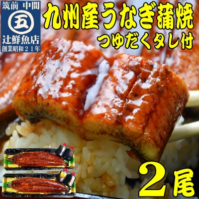 【発送月固定定期便】九州産うなぎ蒲焼2尾　秘伝つゆだくタレ付(中間市)全6回
