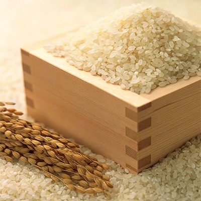 【発送月固定定期便】中間産米　ふるさとだより2kg×2袋 (計4kg) (中間市)全4回