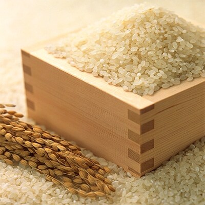 【発送月固定定期便】中間産米　ふるさとだより2kg×2袋 (計4kg) (中間市)全6回