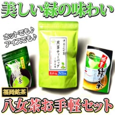 【発送月固定定期便】福岡銘茶八女茶 急須要らずのお手軽セット(中間市)全3回