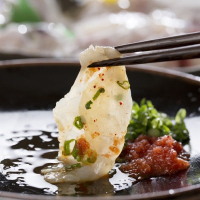【毎月定期便】本場九州の味 とらふぐ刺身8皿セット(中間市)全3回
