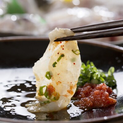 【毎月定期便】本場九州の味 とらふぐ刺身8皿セット(中間市)全4回