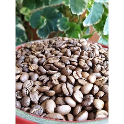 【自家焙煎コーヒー豆】朝霧ブレンド200g(豆)・エチオピアモカ　カフェインレス200g(豆)