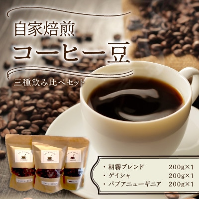 【自家焙煎三種のコーヒー豆】朝霧ブレンド・ゲイシャ・パプアニューギニア各200g
