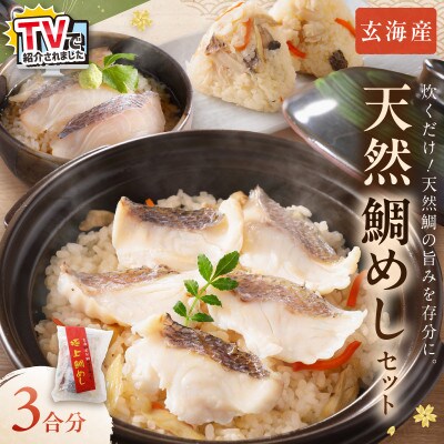 玄海の極上天然鯛めしセット[鯛の切身、だし汁、鯛茶漬け用だし]