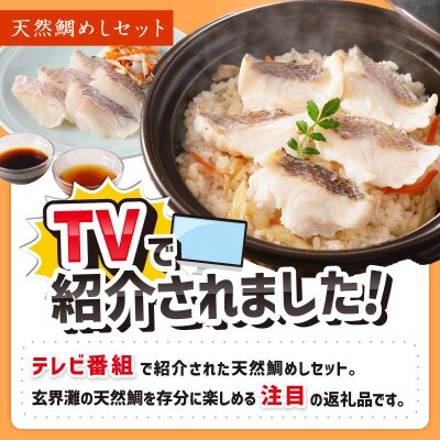 玄海の極上天然鯛めしセット[鯛の切身、だし汁、鯛茶漬け用だし]