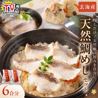 玄海の極上天然鯛めしセット[鯛の切身、だし汁、鯛茶漬け用だし]×2(6合分)