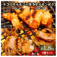 創業77年肉の谷口総本店の牛コロホルモン×博多ホルモン焼き(秘伝タレ2種計1.8kg) | ふるさと納税のお礼品