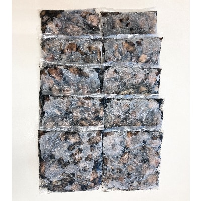 創業77年肉の谷口総本店の九州産若鶏炭火焼風2kg(200×10p)