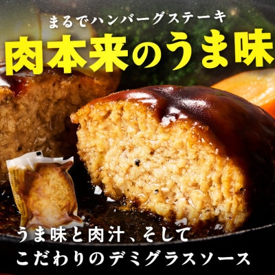 【レンジで簡単!】博多和牛デミグラスソース手ごねハンバーグ