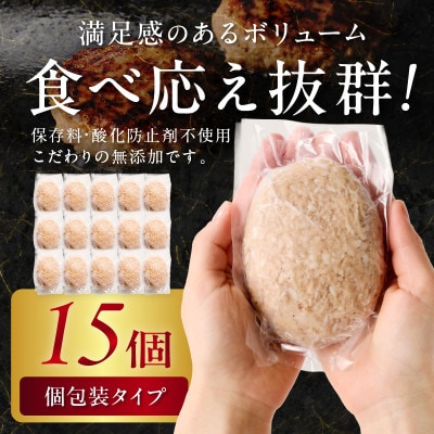 博多和牛手ごね生ハンバーグ15個
