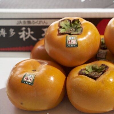 秋王(あきおう)約1.5kg箱(4-6玉)(中間市)